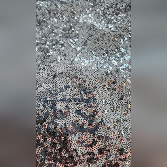 NWOT Victoria Secret silver sequin skirt - Size Small - Picture 9 of 9